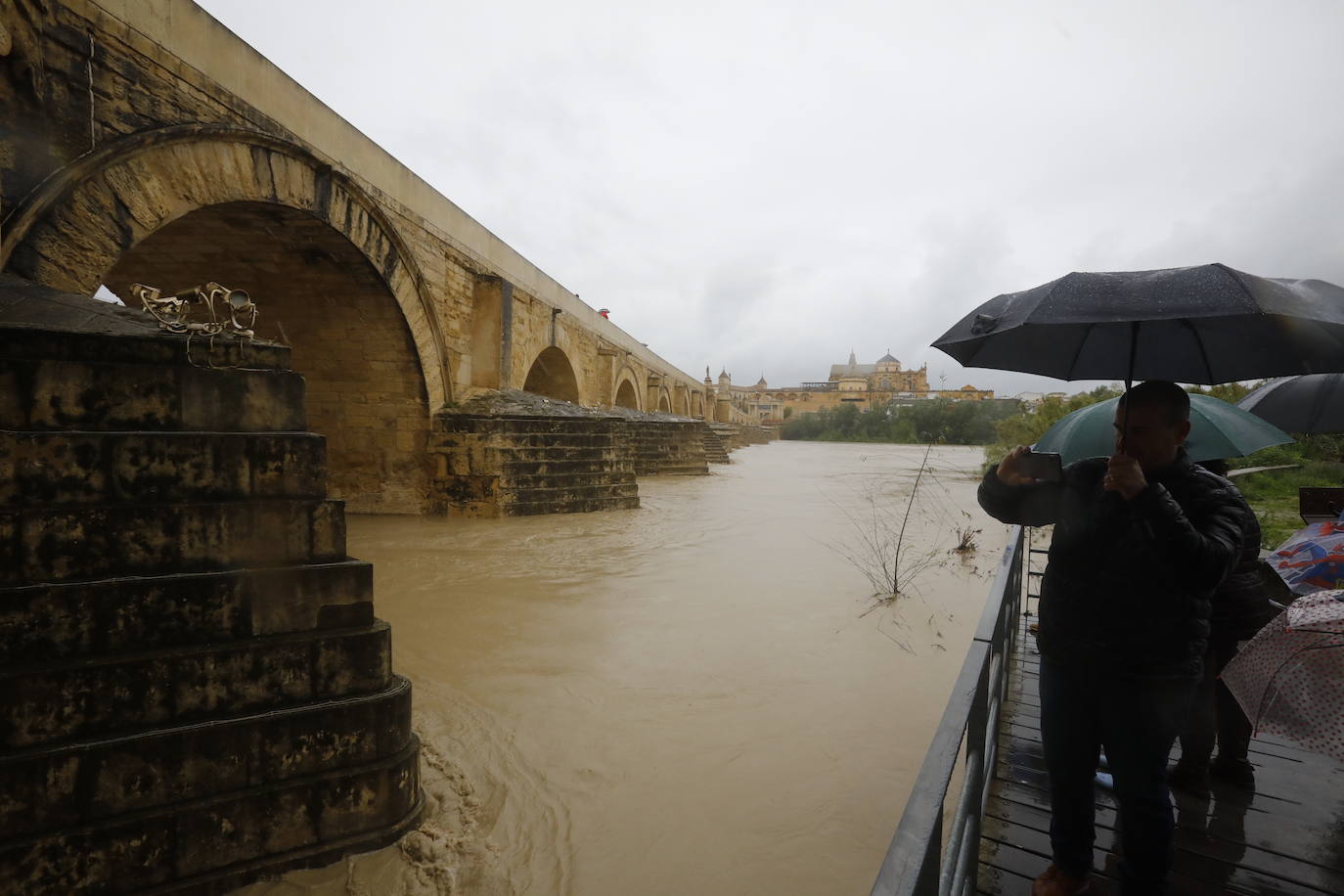 Fotos: la gran crecida del Guadalquivir a su paso por Córdoba