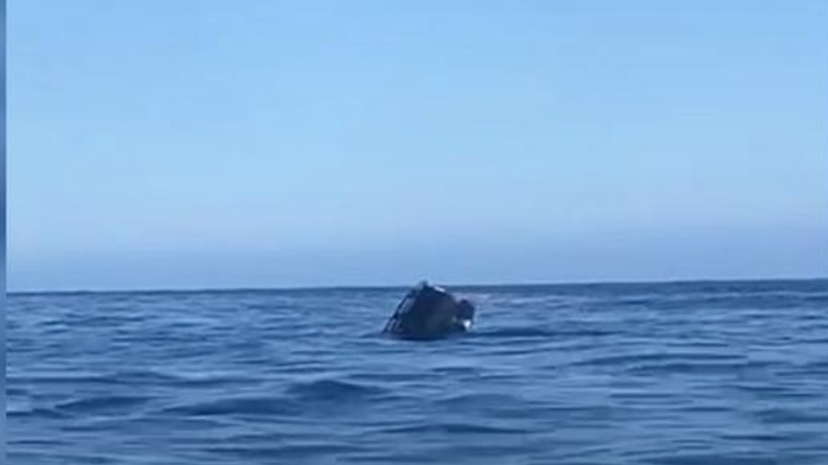 Un coche se cae del ferry en Canarias y se hunde ante los pasajeros