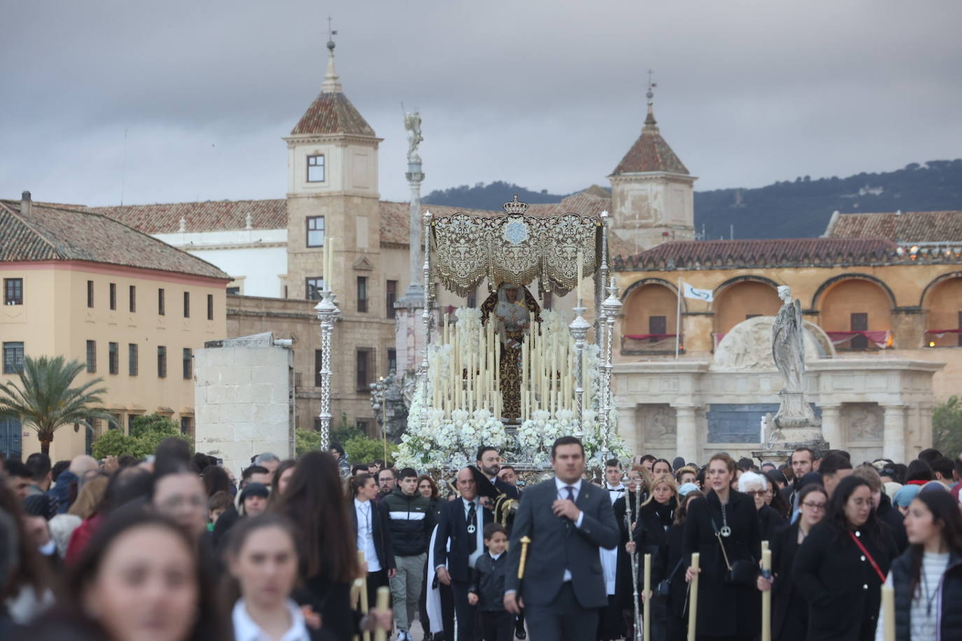 Fotos: los bellos traslados del Amor y la Vera-Cruz desde la Catedral de Córdoba a sus templos