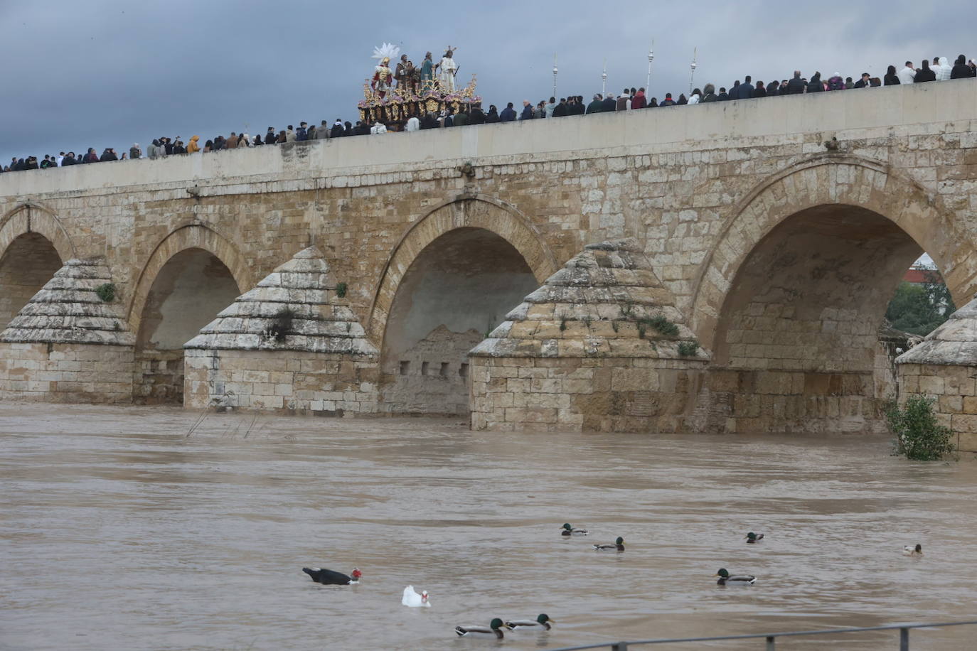 Fotos: los bellos traslados del Amor y la Vera-Cruz desde la Catedral de Córdoba a sus templos