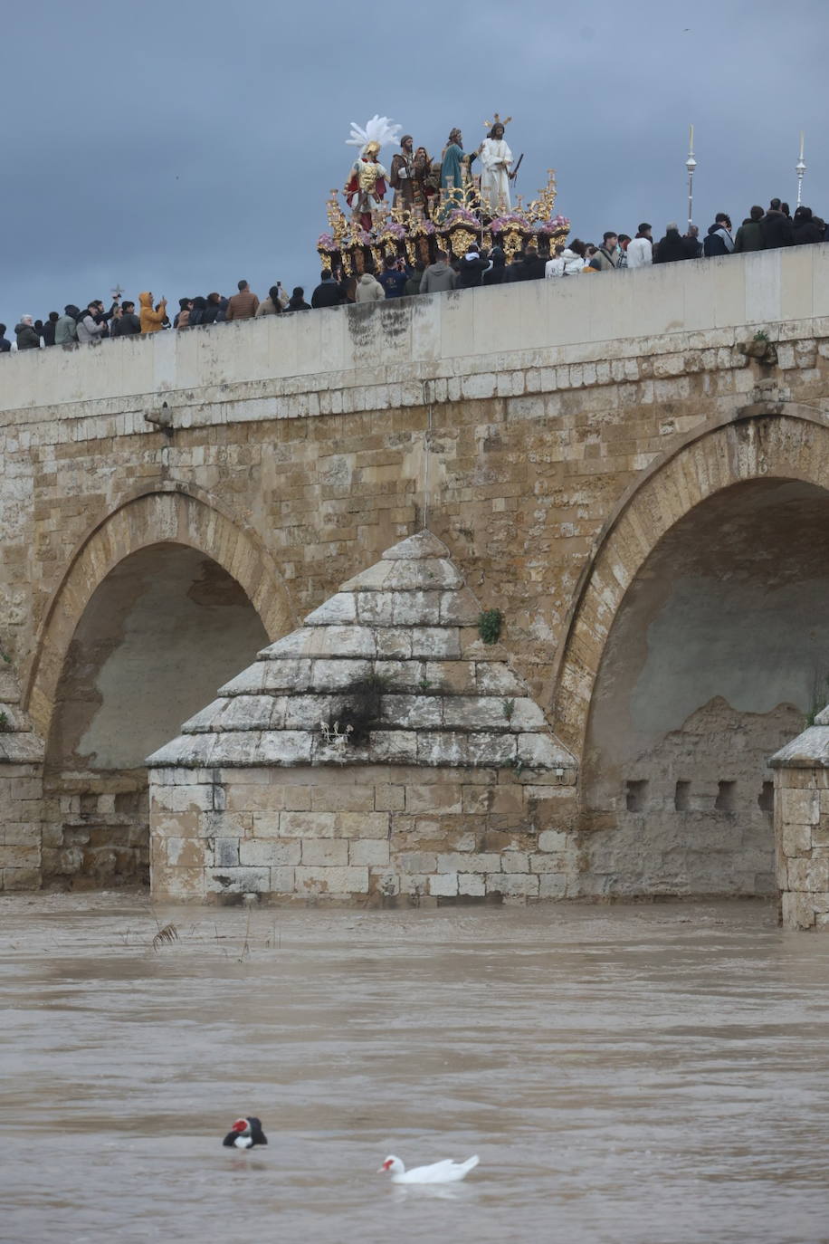 Fotos: los bellos traslados del Amor y la Vera-Cruz desde la Catedral de Córdoba a sus templos