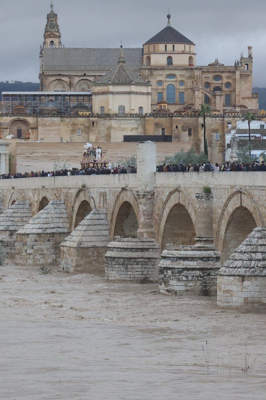 Fotos: los bellos traslados del Amor y la Vera-Cruz desde la Catedral de Córdoba a sus templos