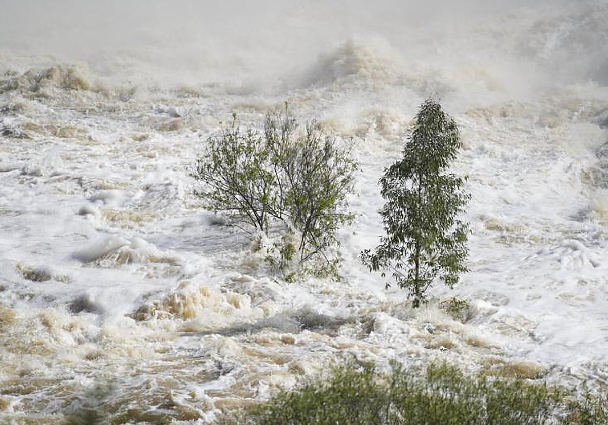 Una de las imágenes que ha dejado la borrasca Nelson en Andalucía