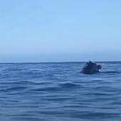 La mala suerte de Matías, perdió su casa en el volcán de La Palma y su coche se cae al mar desde el ferry