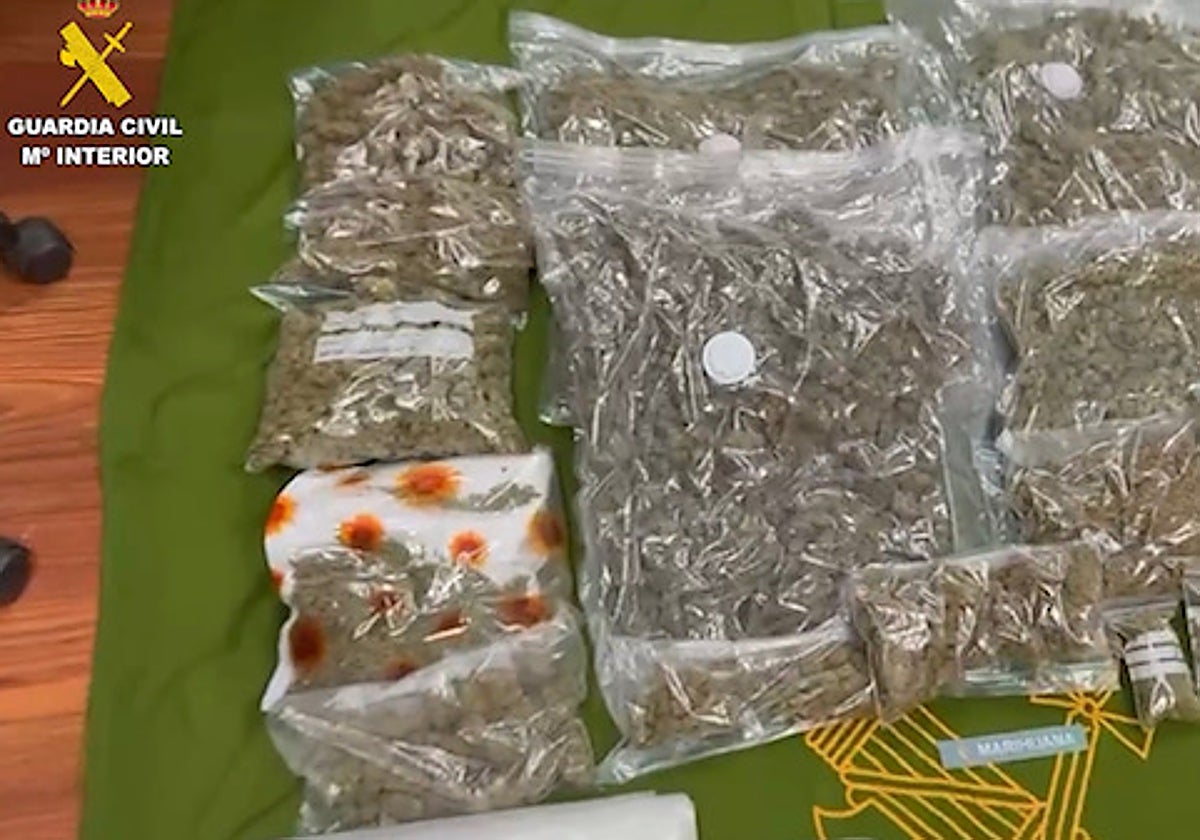 Droga incautada en Fuencarral-El Pardo a una organización criminal