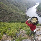 La Ribeira Sacra se juega otra vez optar a Patrimonio Mundial