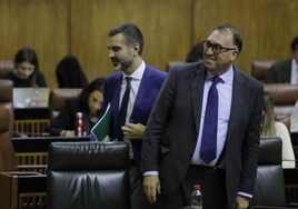 Arturo Bernal reitera su rechazo al impuesto sobre el turismo en Andalucía: «Sería cargarse la gallina de los huevos de oro»