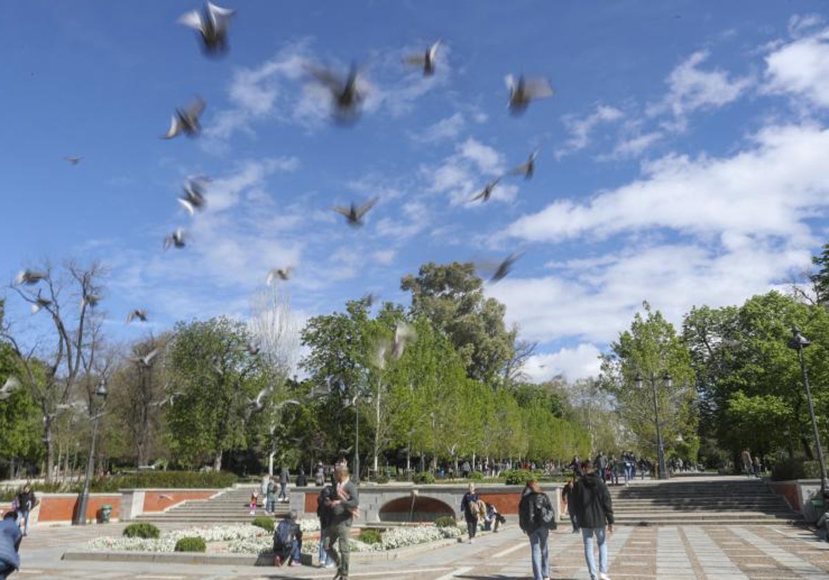 Vista del parque del Retiro, desde una de sus entradas