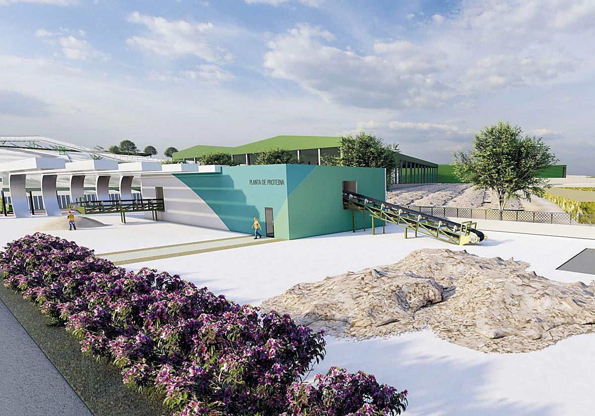 Imagen de la planta de fertilizantes con moscas soldado