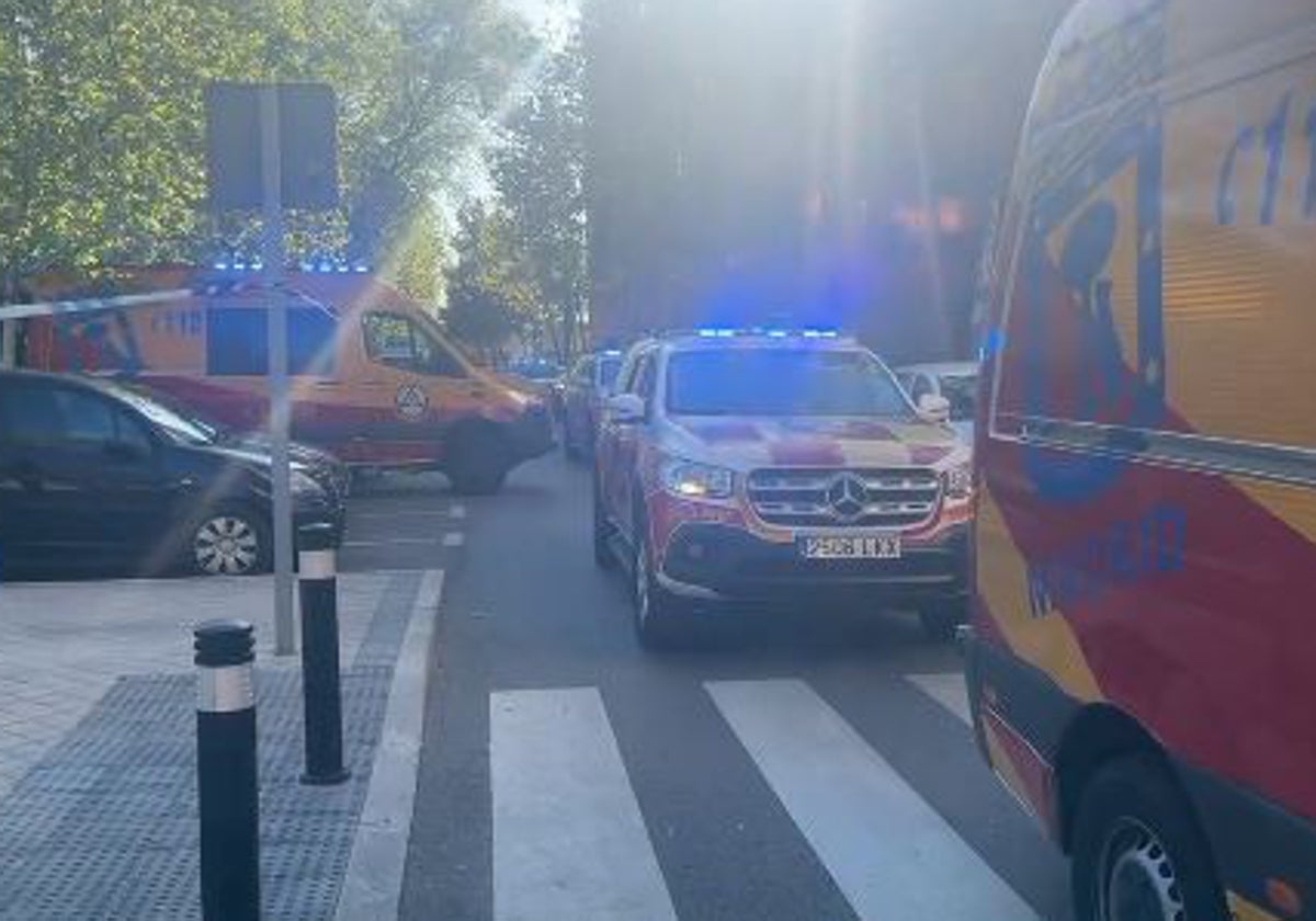 Los servicios de emergencias, en el lugar del atropello
