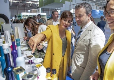 Imputados el 'número dos' del PSOE andaluz y el ex alcalde de Jaén Julio Millán por denunciar en falso al PP por compra de votos