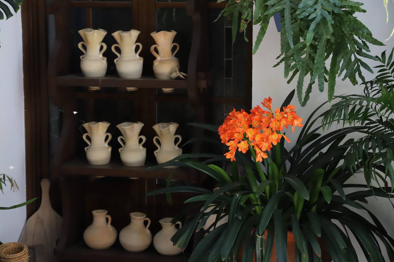 Las imágenes de la belleza de los patios de Córdoba en abril