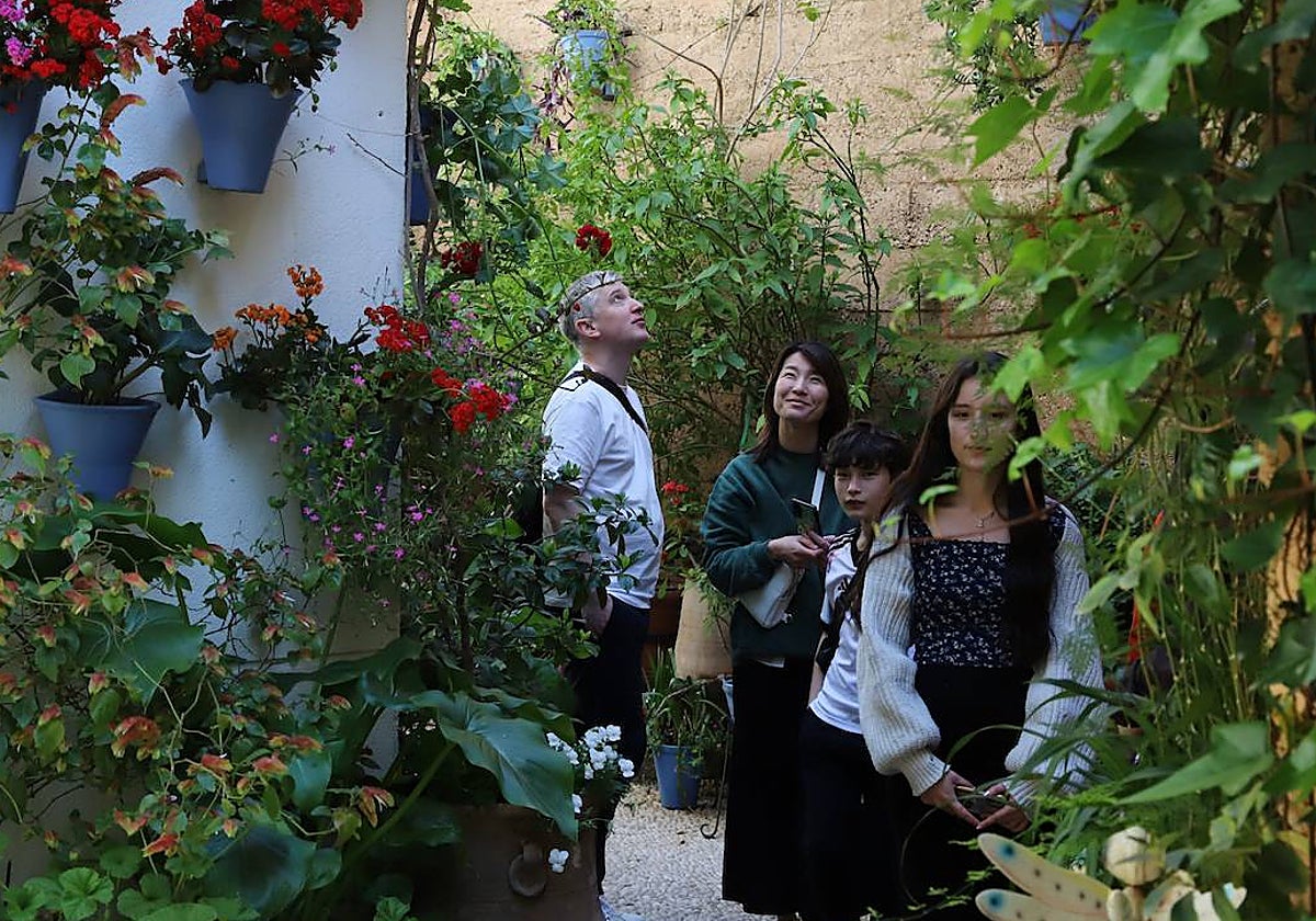 Turistas, este martes viendo un patio