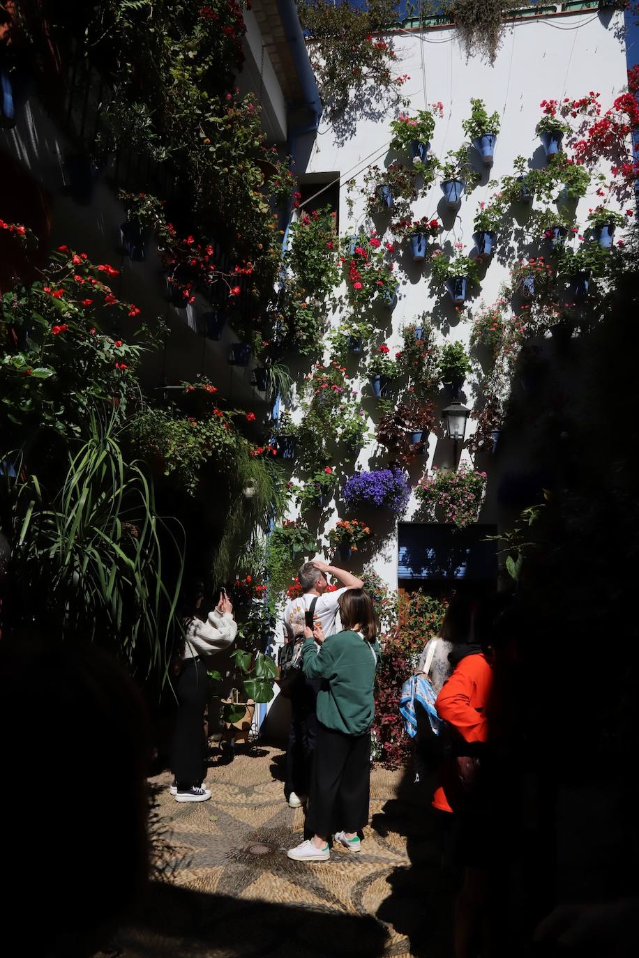 Las imágenes de la belleza de los patios de Córdoba en abril