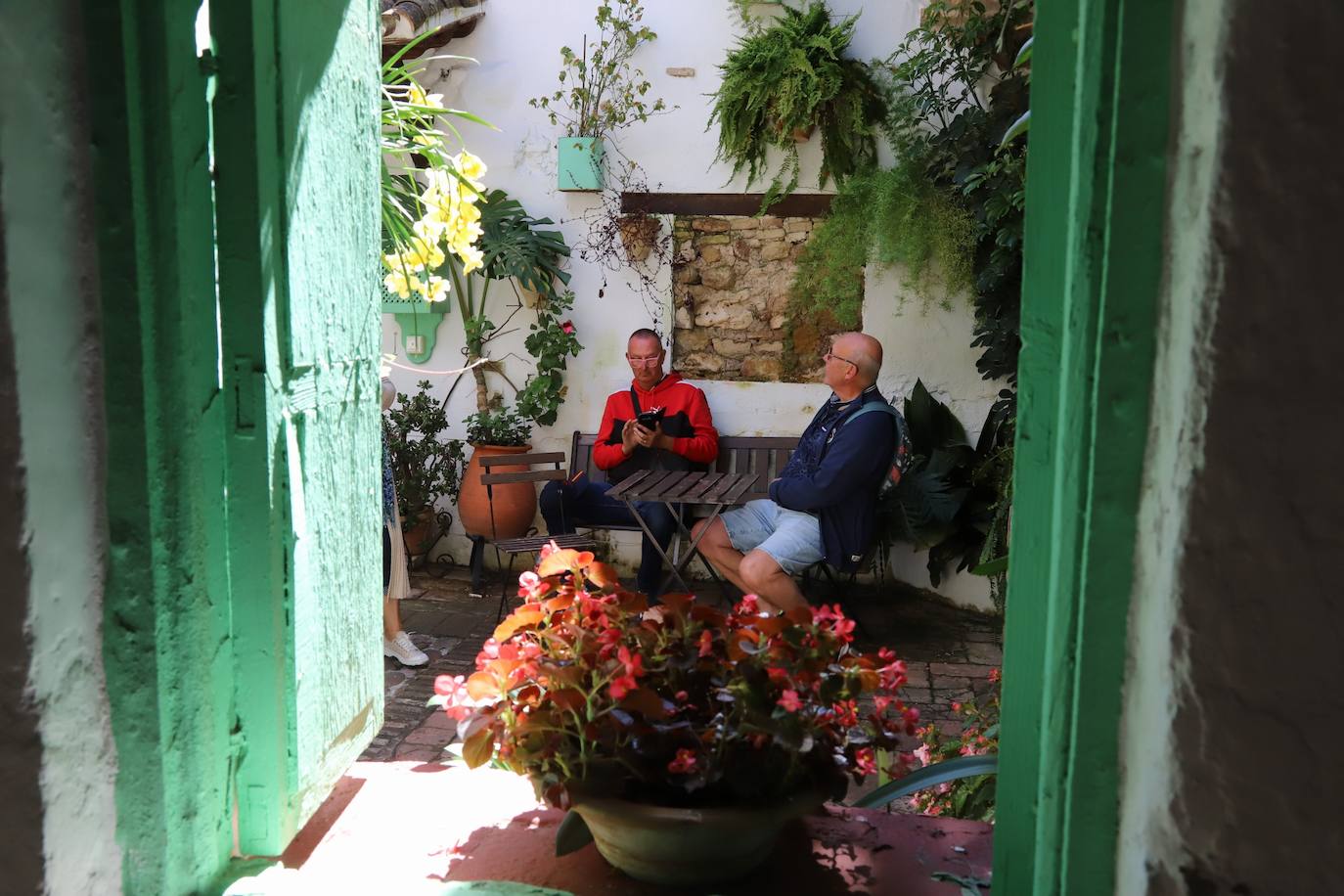 Las imágenes de la belleza de los patios de Córdoba en abril