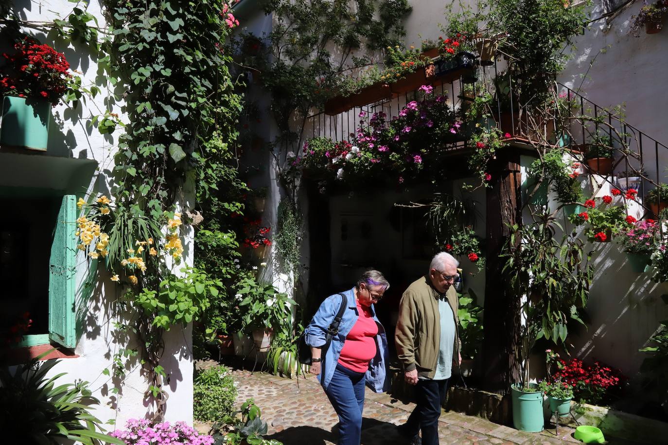 Las imágenes de la belleza de los patios de Córdoba en abril