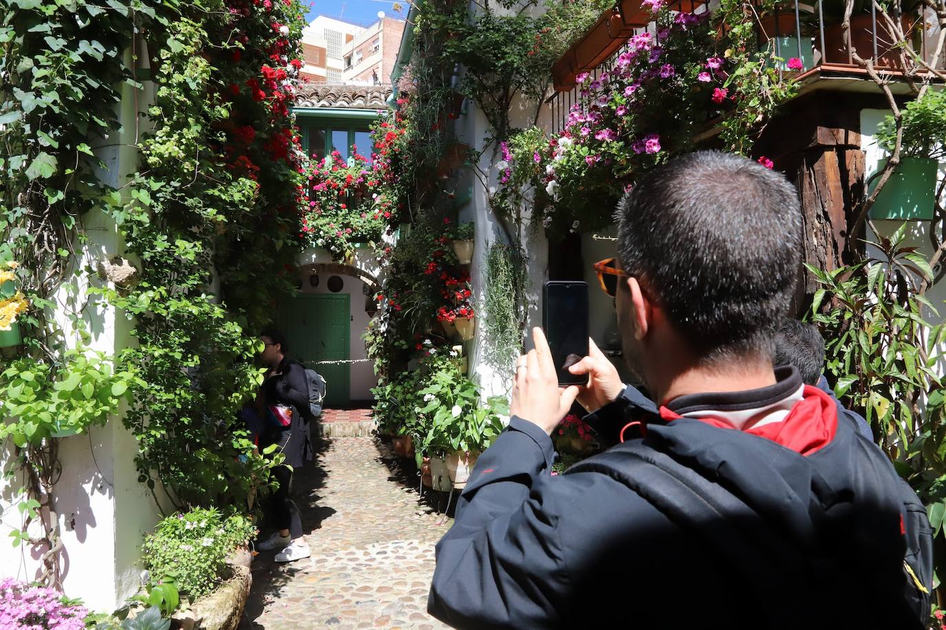 Las imágenes de la belleza de los patios de Córdoba en abril