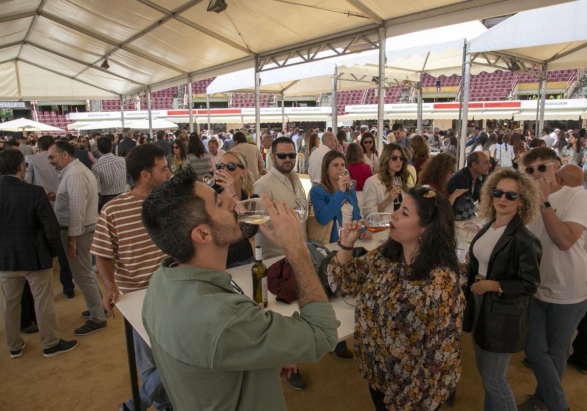 Ambiente en la última edición de la Cata del Vino celebrada en Córdoba