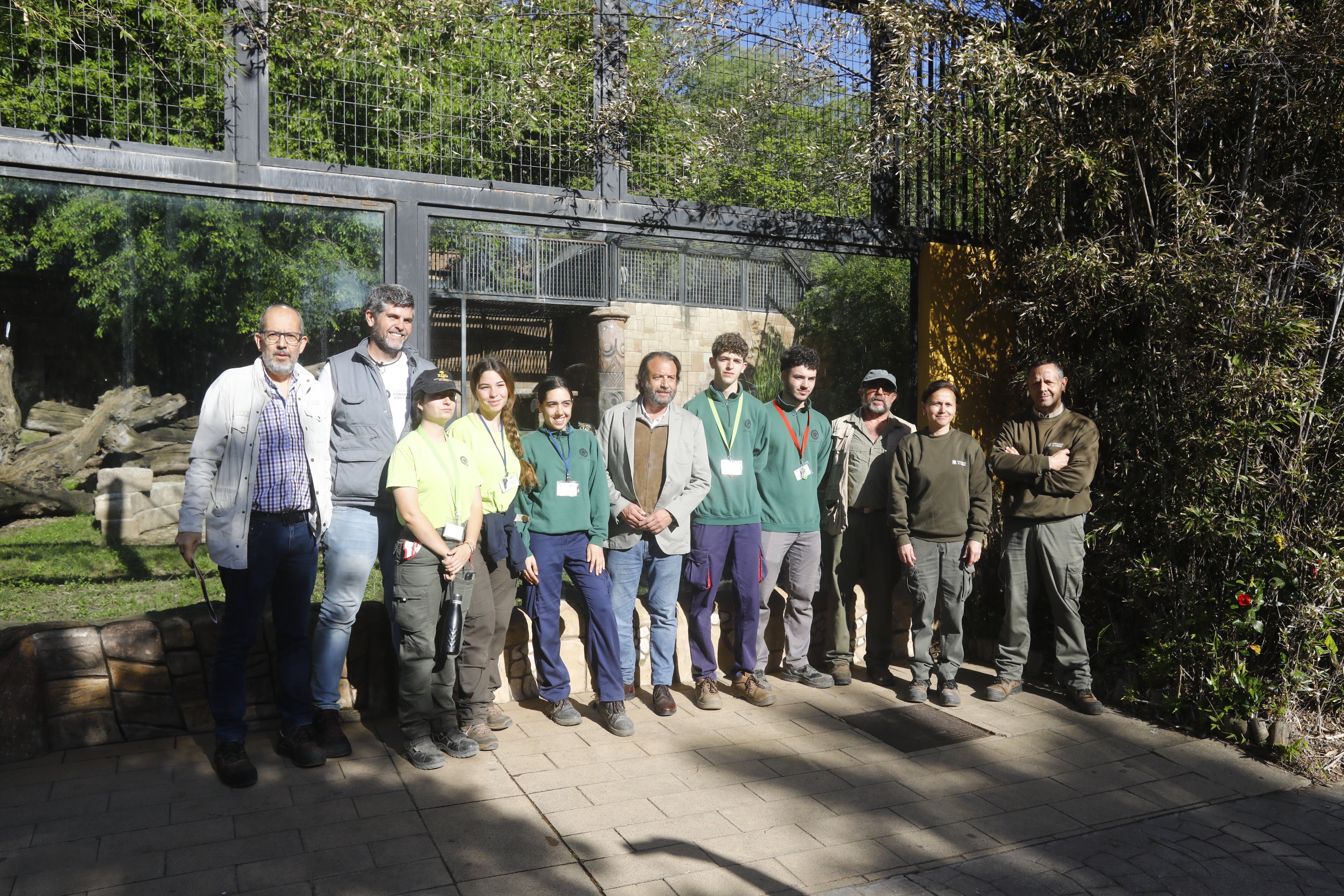 Las imágenes de los nuevos tigres de bengala del Zoo de Córdoba