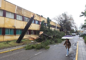 Cambio de tiempo: tormentas y vientos muy fuertes este lunes