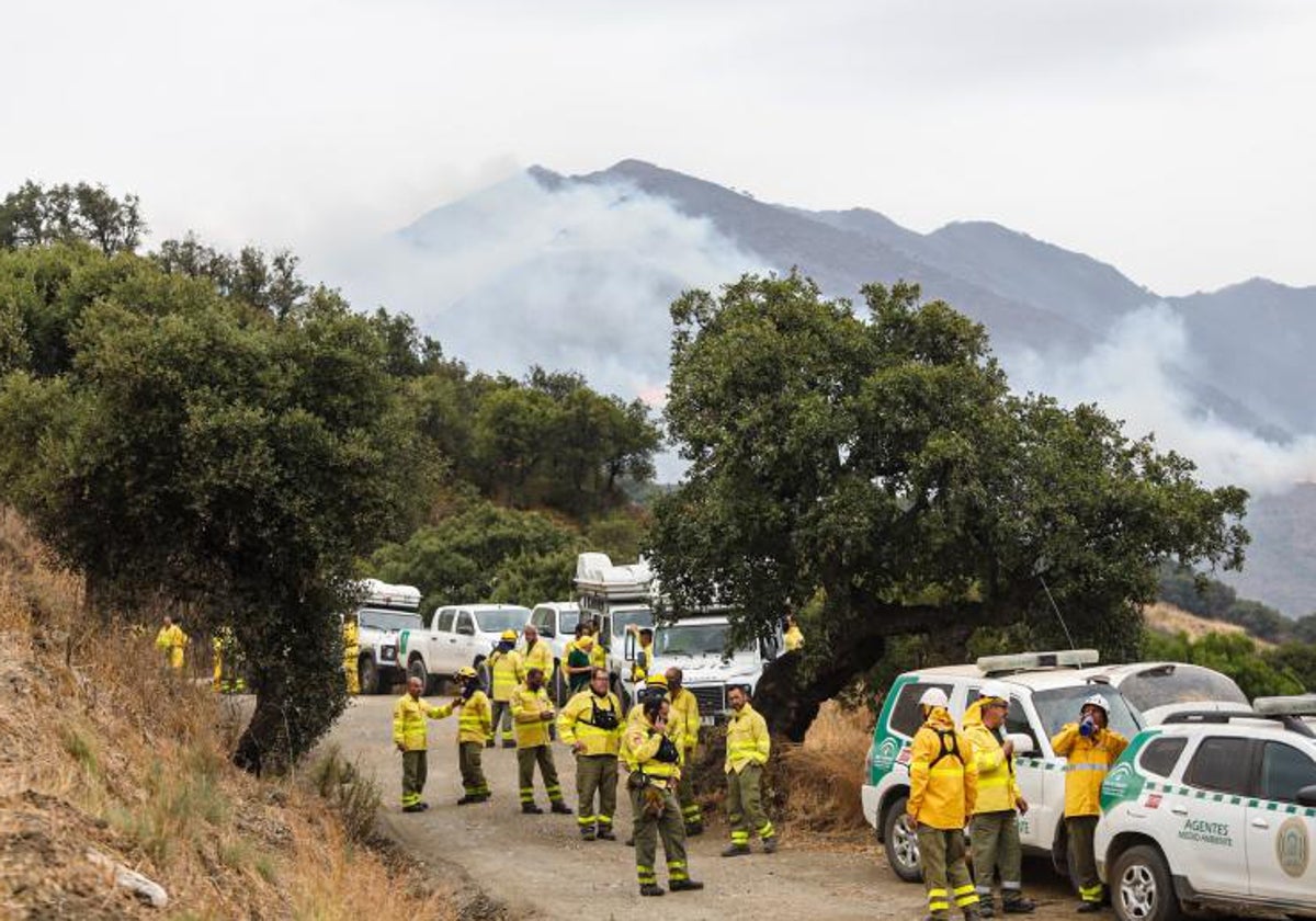 Miembros del Infoca en la Sierra Bermeja, en Málaga, en el verano de 2021