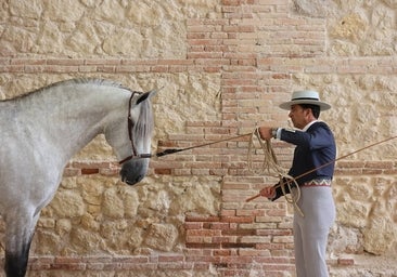 El Ayuntamiento y Córdoba Ecuestre ultiman la cesión de Caballerizas Reales