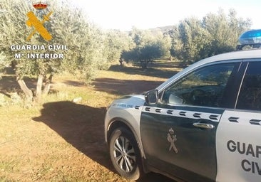 Muere asfixiado un hombre de 83 años al enredarse con las ramas de un árbol al ir con su tractor en Medranda