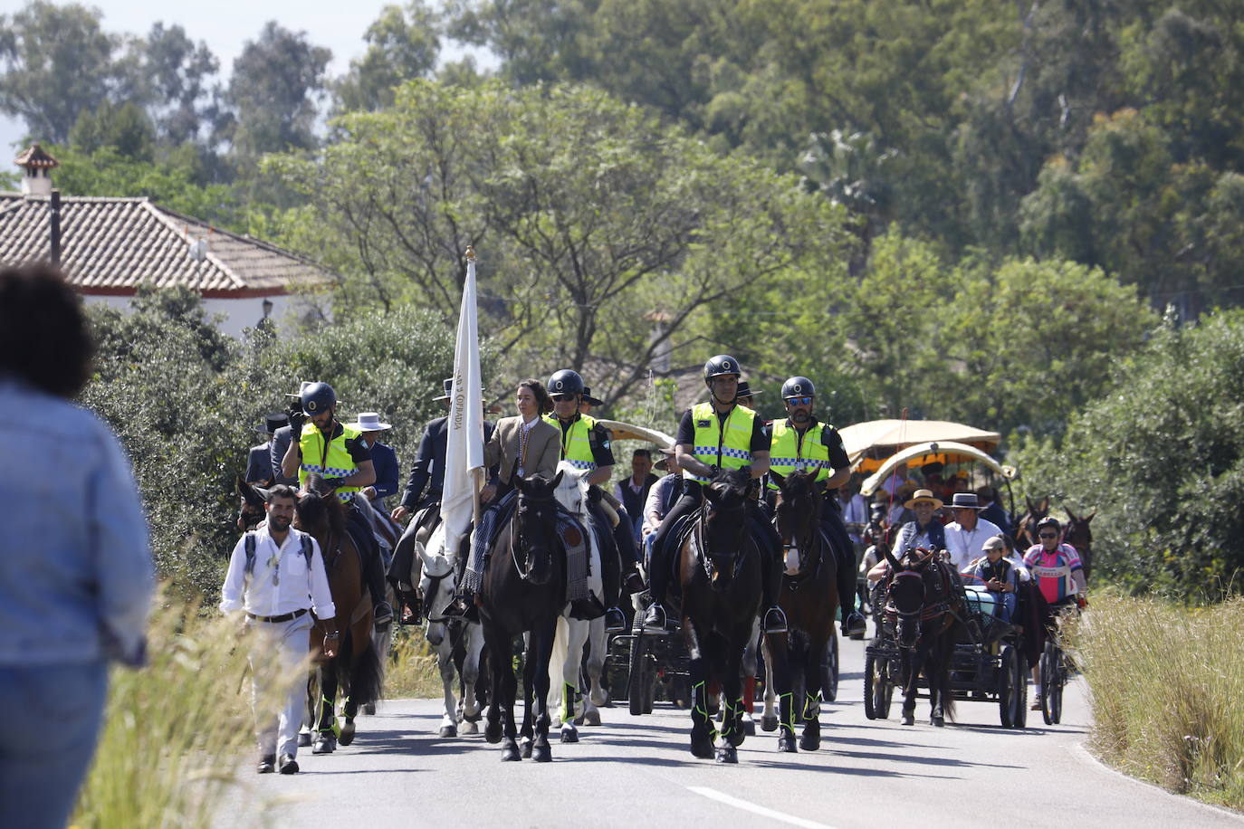 Fotos: la colorida romería de Santo Domingo en Córdoba