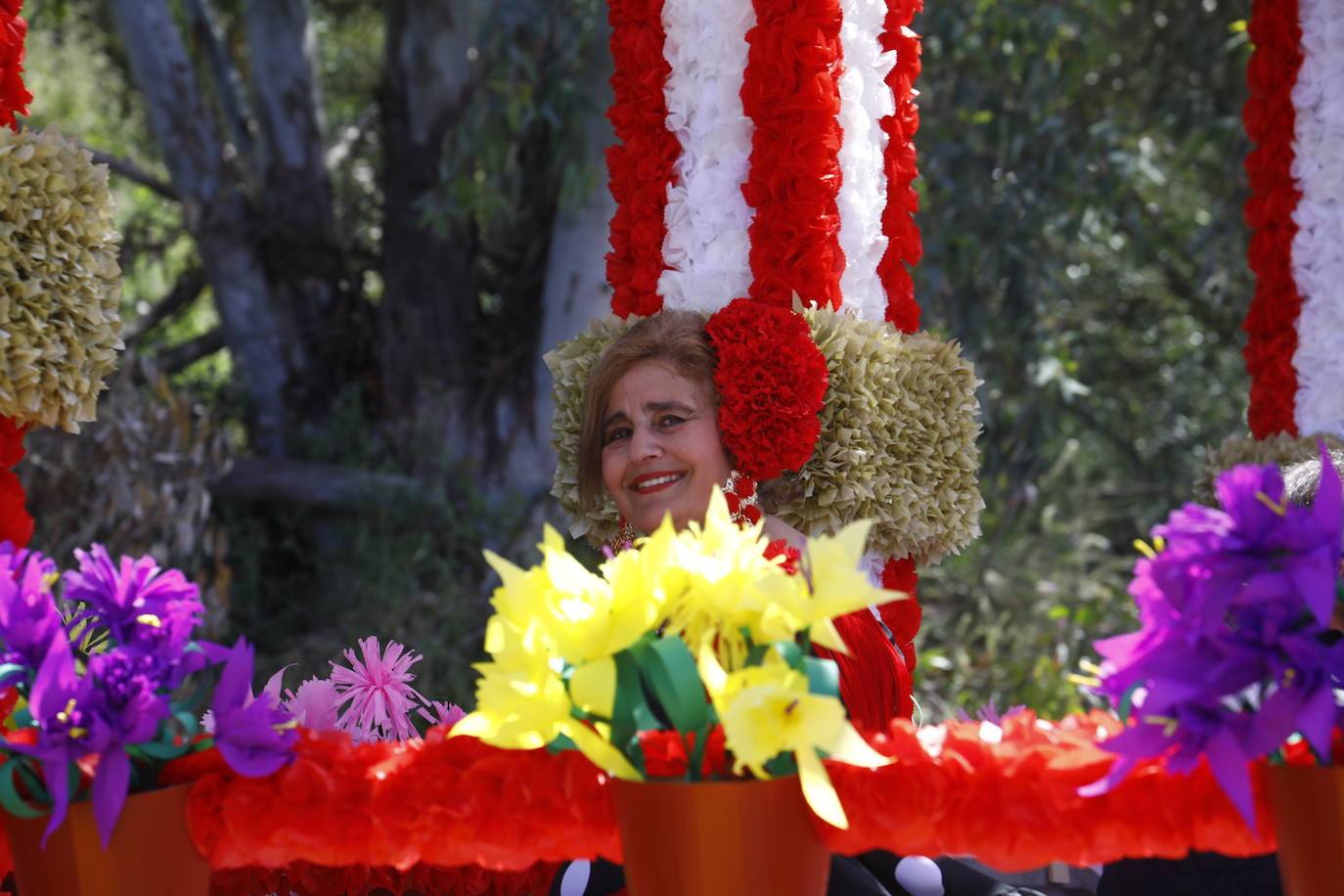 Fotos: la colorida romería de Santo Domingo en Córdoba