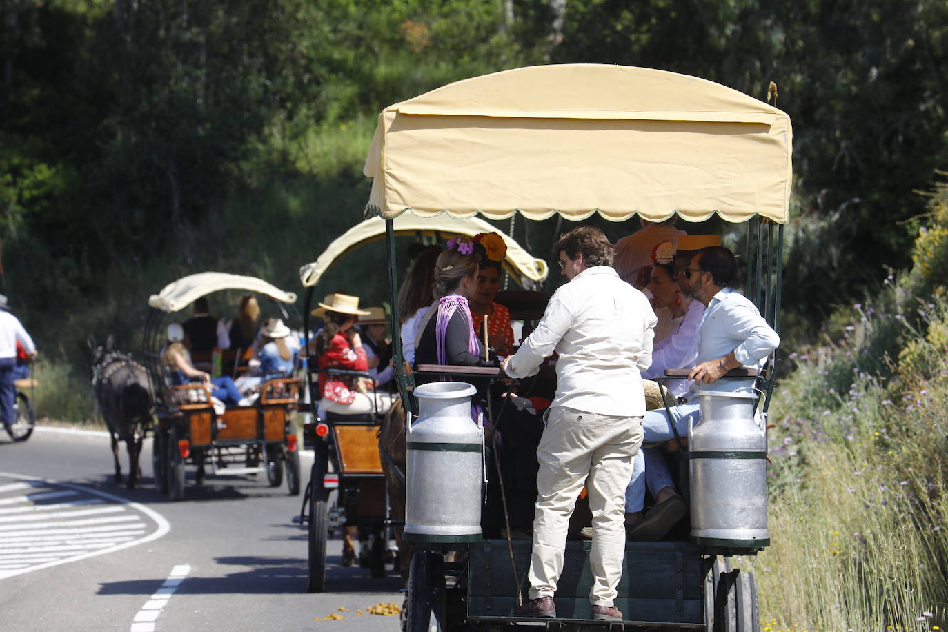 Fotos: la colorida romería de Santo Domingo en Córdoba