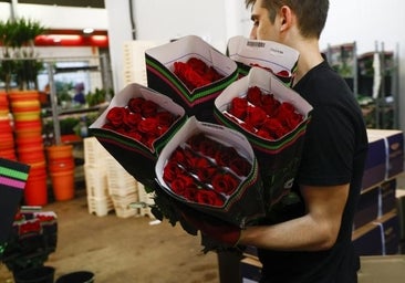 Sant Jordi 2024 en Barcelona: actividades, puestos de libros, rosas y cortes de tráfico