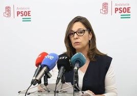 El PSOE culpa a Juanma Moreno de la «situación de precariedad de miles de jóvenes para acceder a una vivienda»