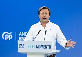 El PP acusa a Sánchez de «marginar y restar oportunidades de futuro» a Andalucía al negarle inversiones ferroviarias