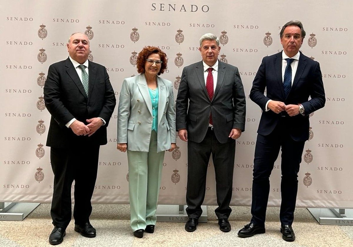 Imagen de archivo de los senadores del PP por la provincia de Toledo
