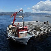 El misterio de los falsos fardos de la Ría de Arousa que solo contenían harina