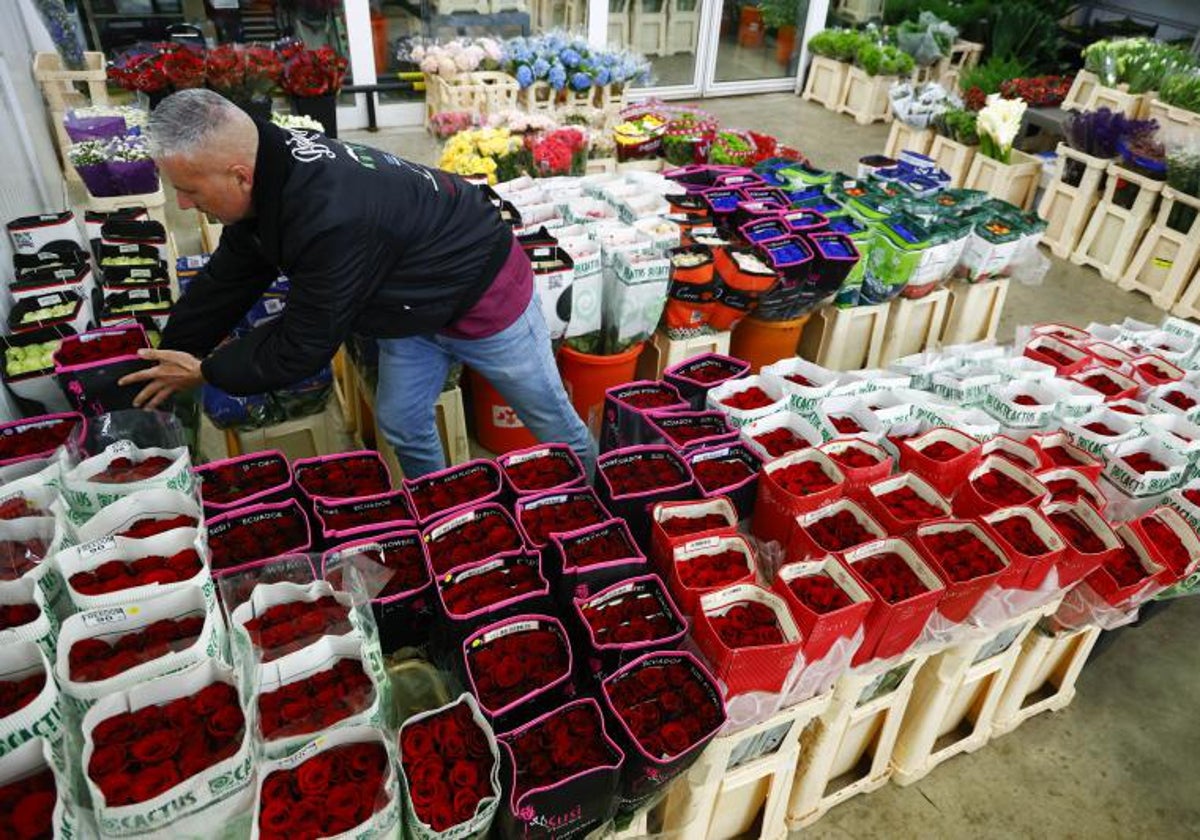 Hombre alistando la venta de flores para la diada Sant Jordi