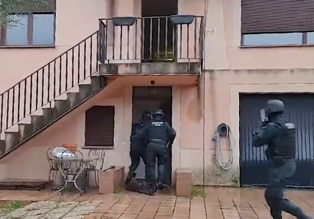 La Guardia Civil detiene a dos sexagenarios tras incautarles más de 38 kilos y casi 600 plantas de marihuana en Cabanillas de la Sierra