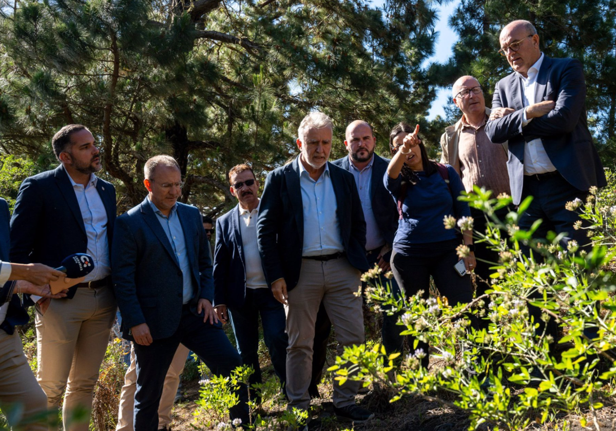 El ministro de Política Territorial y Memoria Democrática, Ángel Víctor Torres, en una visita a la fosa de Fuencaliente