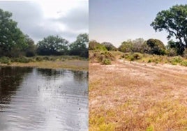 Las altas temperaturas hacen que las lagunas de Doñana pierdan agua «con rapidez»