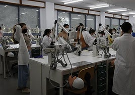 El número de jóvenes andaluces que ni estudian ni trabajan  se reduce a la mitad en la última década