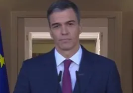 El presidente del Gobierno, Pedro Sánchez, durante su comparecencia en la Moncloa