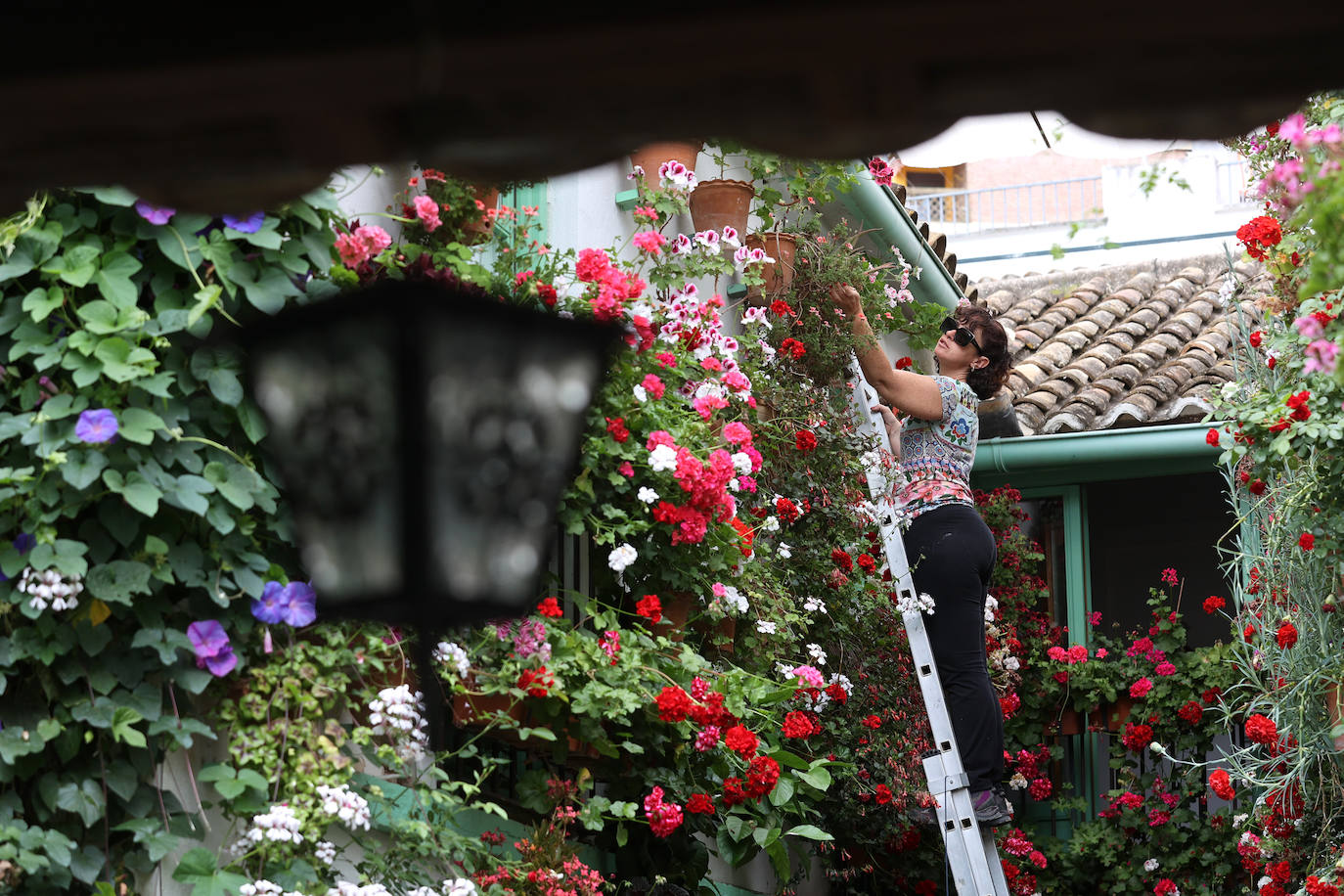 Fotos: los preparativos para el comienzo de los Patios de Córdoba