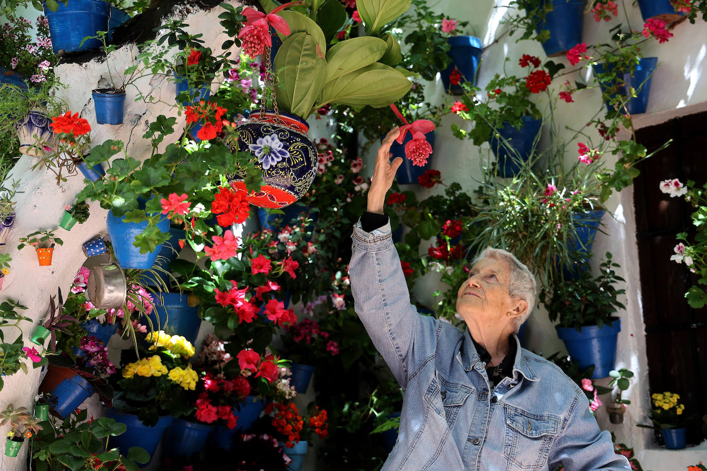 Fotos: los preparativos para el comienzo de los Patios de Córdoba