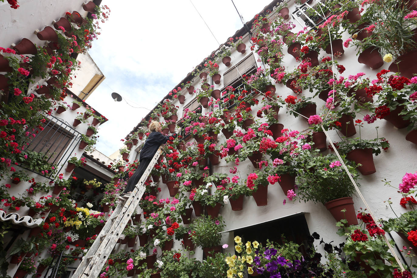 Fotos: los preparativos para el comienzo de los Patios de Córdoba