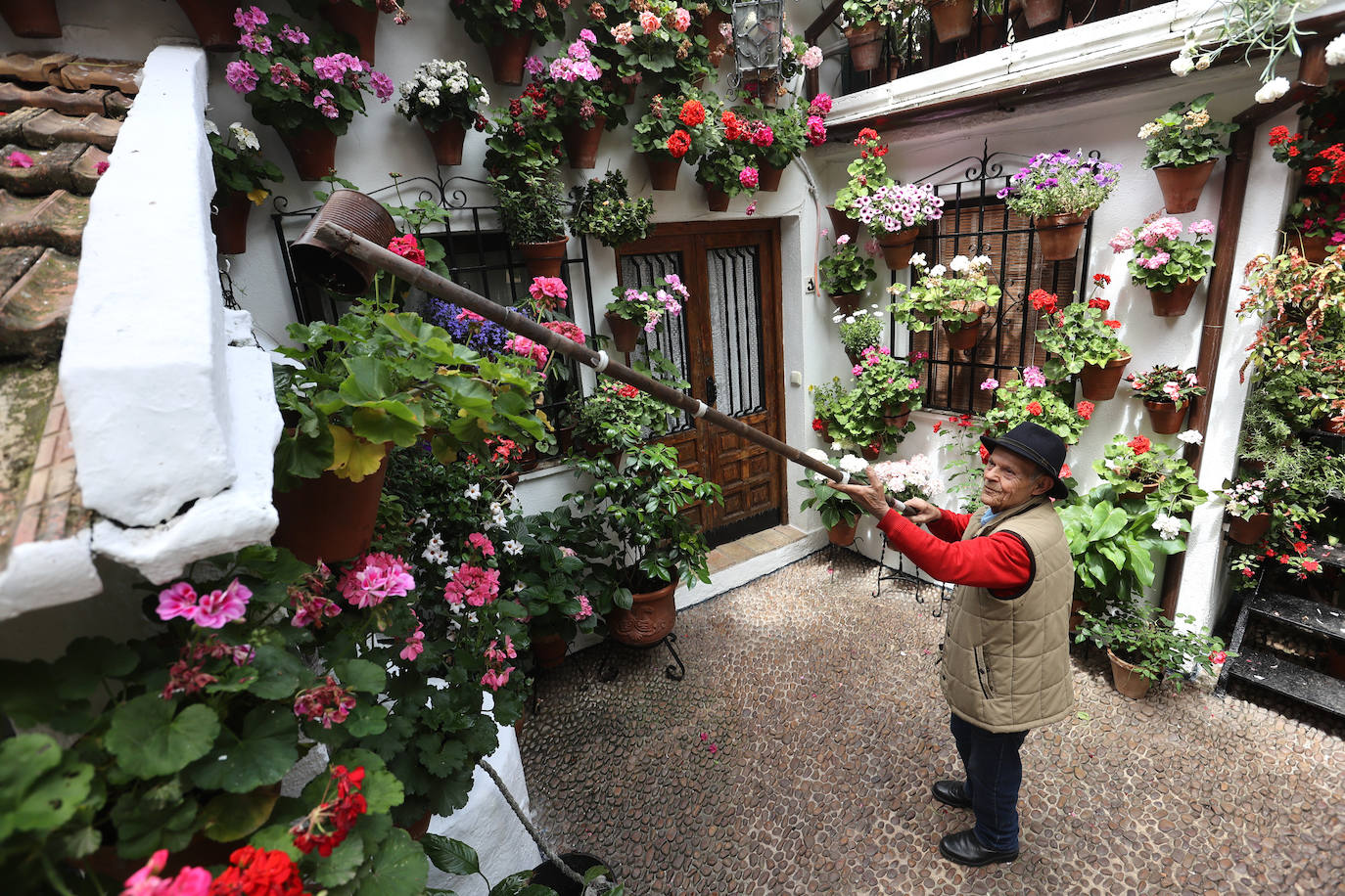 Fotos: los preparativos para el comienzo de los Patios de Córdoba