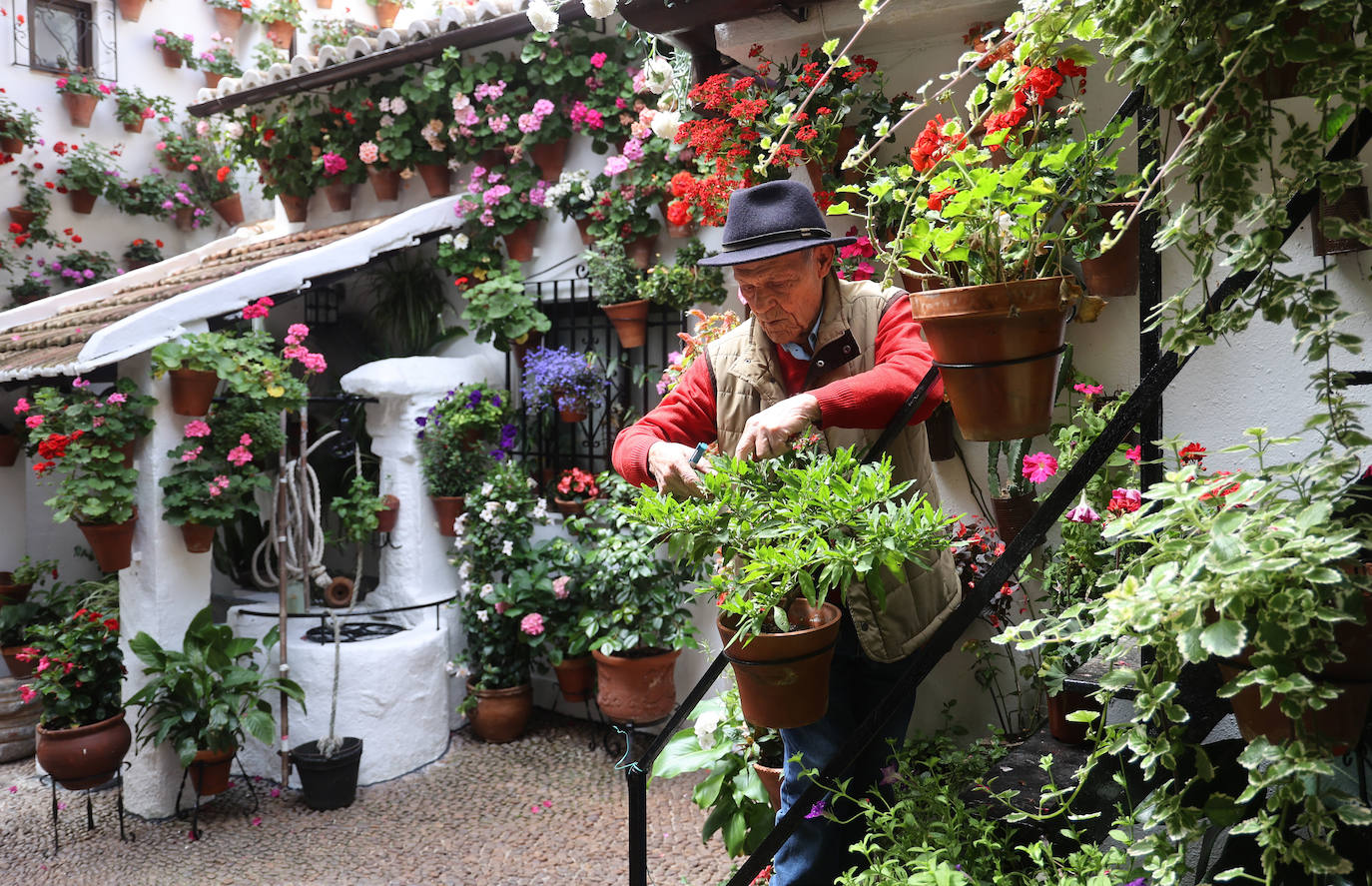 Fotos: los preparativos para el comienzo de los Patios de Córdoba