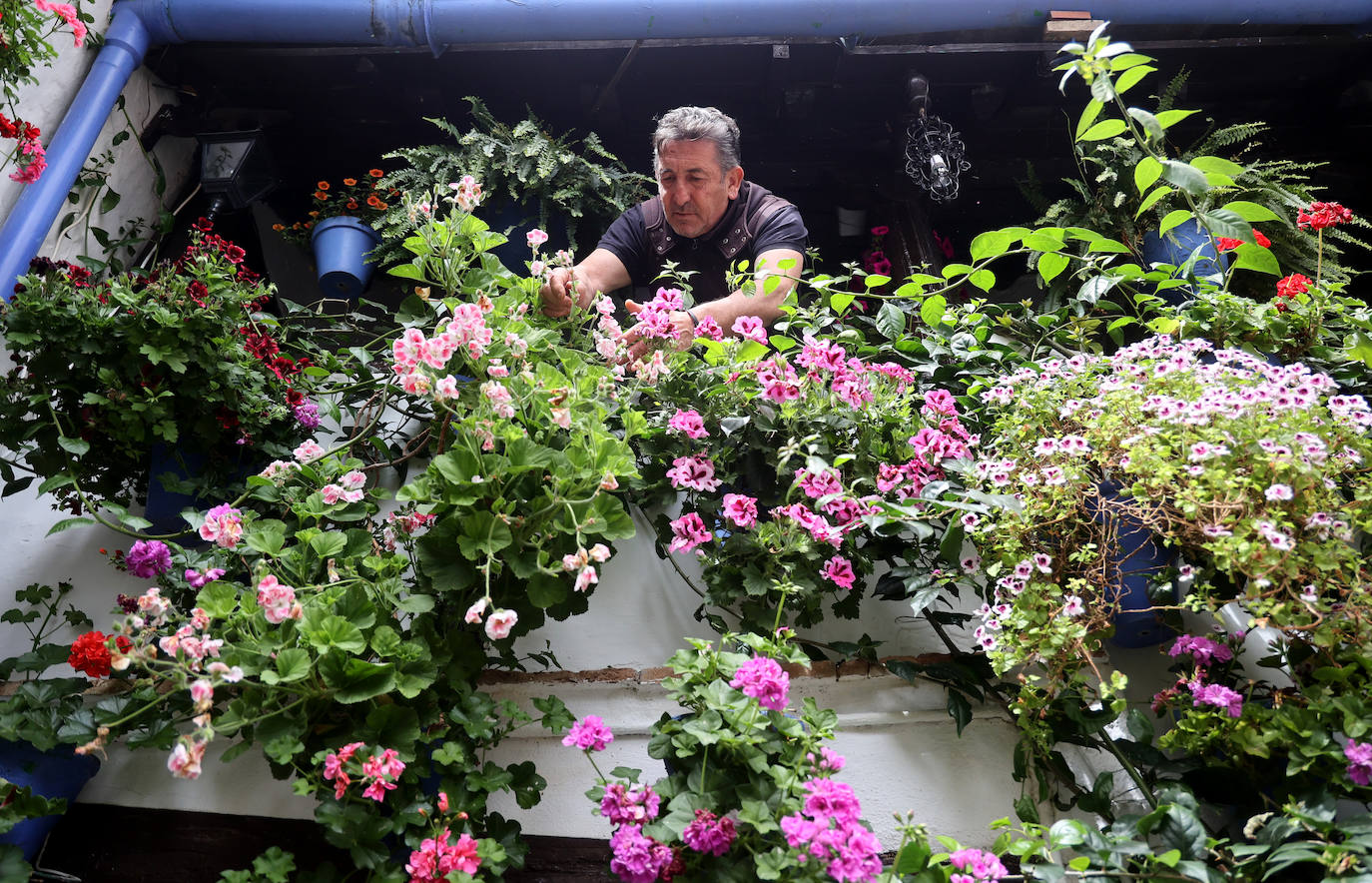 Fotos: los preparativos para el comienzo de los Patios de Córdoba