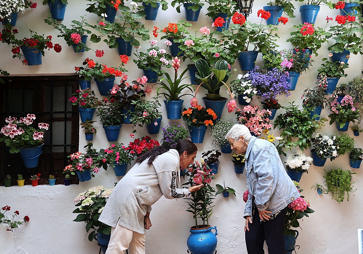 Preparativos en el patio de la calle Tinte