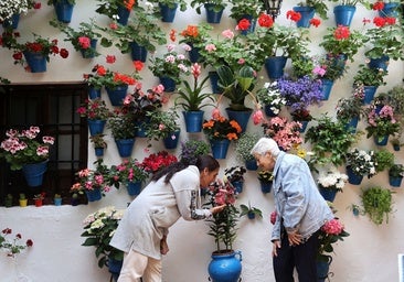 Fotos: los preparativos para el comienzo de los Patios