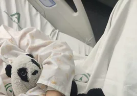 Un oso panda de peluche es el fiel amigo de Alejandro en el hospital